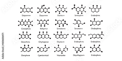 Illustration of various chemical structures and their names on a white background layout