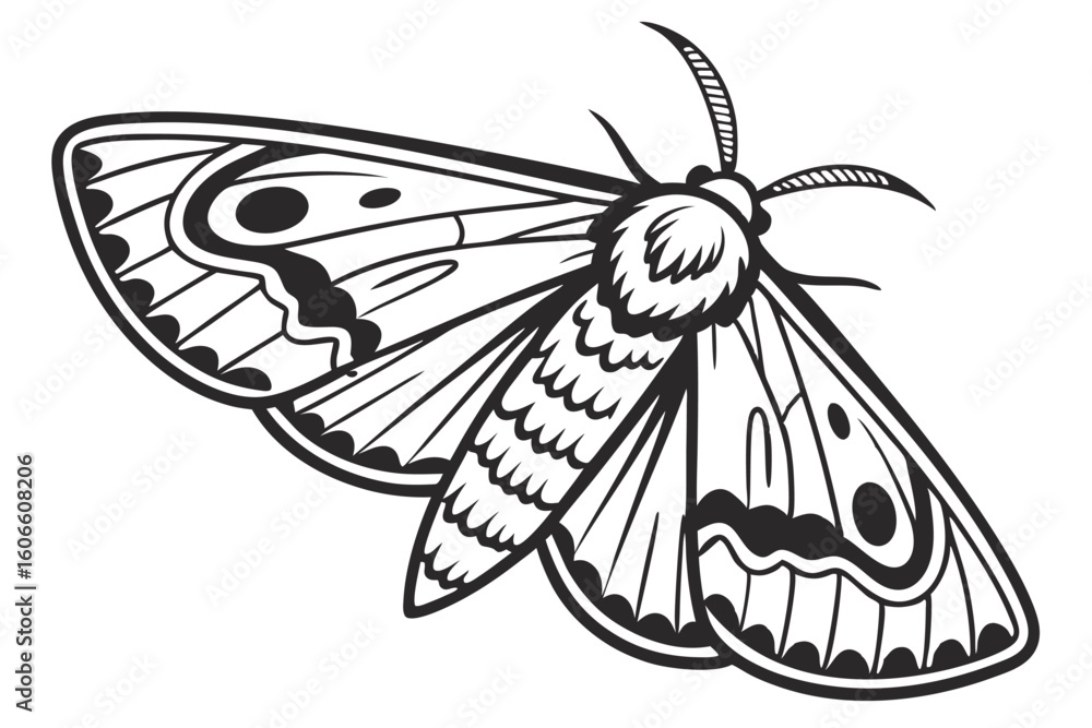 Fototapeta premium Intricate Black and White Illustration of a Detailed Moth with Delicate Wing Patterns and Antennae Details