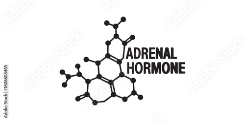 An illustration showing the molecular structure of an adrenal hormone on a white background