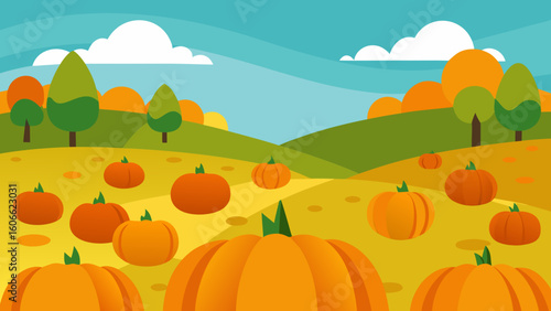 Explore a delightful field of pumpkins perfect for autumn harvest and Halloween fun