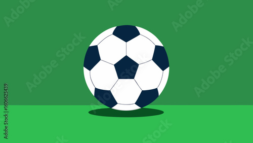 Classic Soccer Ball Resting on a Vibrant Green Field Ready to Play