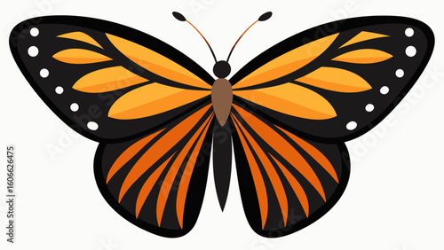 Intricate Detailed Photograph Of Butterfly Wing Natural Beauty