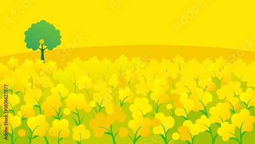 Vast Field Canola Sea Brilliant Yellow Natural Golden Landscape