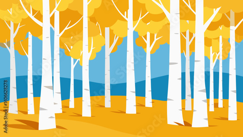 Serene Quaking Aspen Grove White Bark Golden Leaves Autumn Foliage Beauty Scene