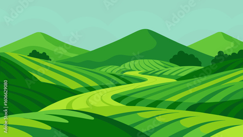 Discover a tranquil manicured landscape of rolling tea plantations
