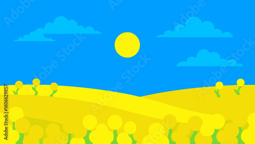 Explore a vast sun drenched field of bright yellow rapeseed flowers