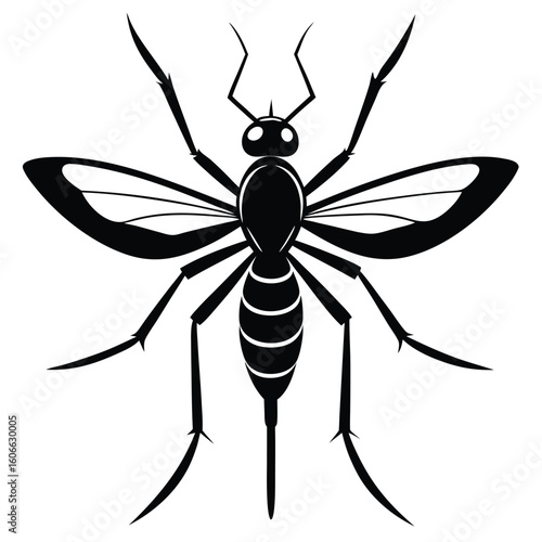 Vector Illustration of a Mosquito a Disease Vector with Distinctive Features Including Long Legs Wings and a Segmented Abdomen in Black and White