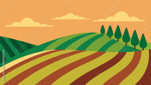 Wander through a beautiful vineyard on a rolling hillside with neat rows