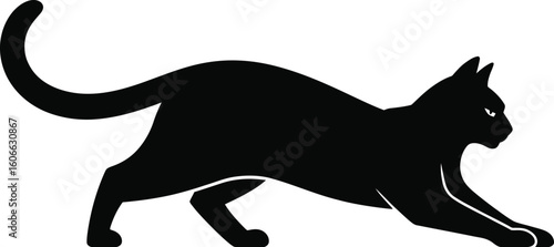 Black cat stretching forward feline domestic animal