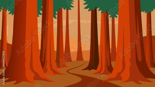 Explore a Giant Sequoia Grove with Massive Reddish Brown Trunks