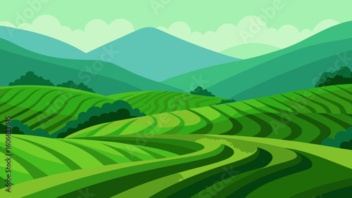 Admire a Landscape of Rolling Tea Plantations with Bright Green Leaves