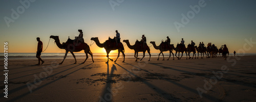 Sunset Camel Ride at Cable Beach, Western Australia