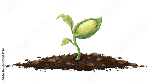 A digital illustration depicts a young sprout with two light green cotyledons emerging from dark brown soil against a white background. The sprout's stem is thin and light green.