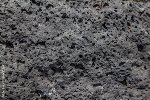 Tableau sur toile Vesicular texture