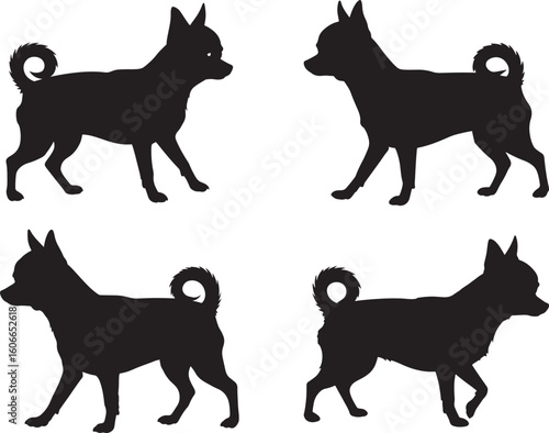 Four chihuahua dog silhouettes in various poses silhouette