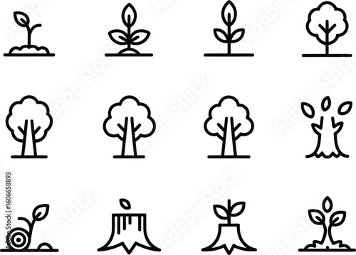 Tree growth stages icons set representing plant development and life cycle