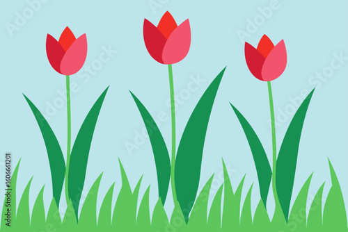 a symphony of tulips and grass