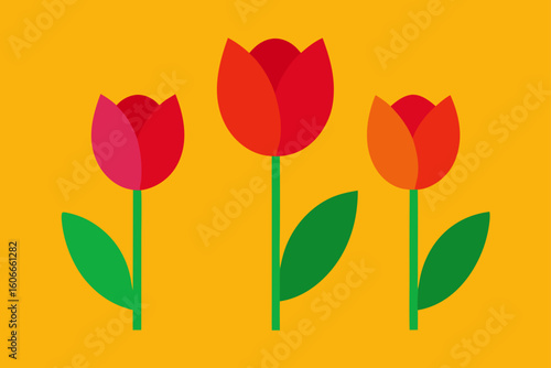 color pop  tulip edition