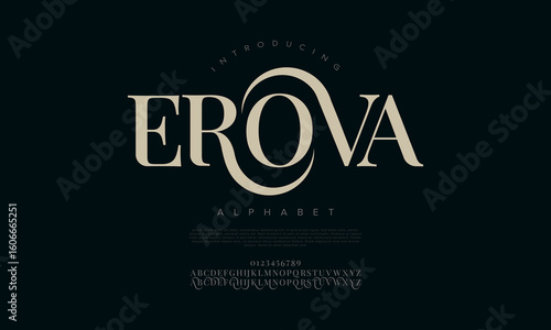 Luxurious serif display font with flowing strokes, perfect for luxury branding and product packaging