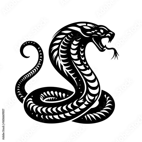 A cobra rears its head in a black and white vector illustration isolated on white background