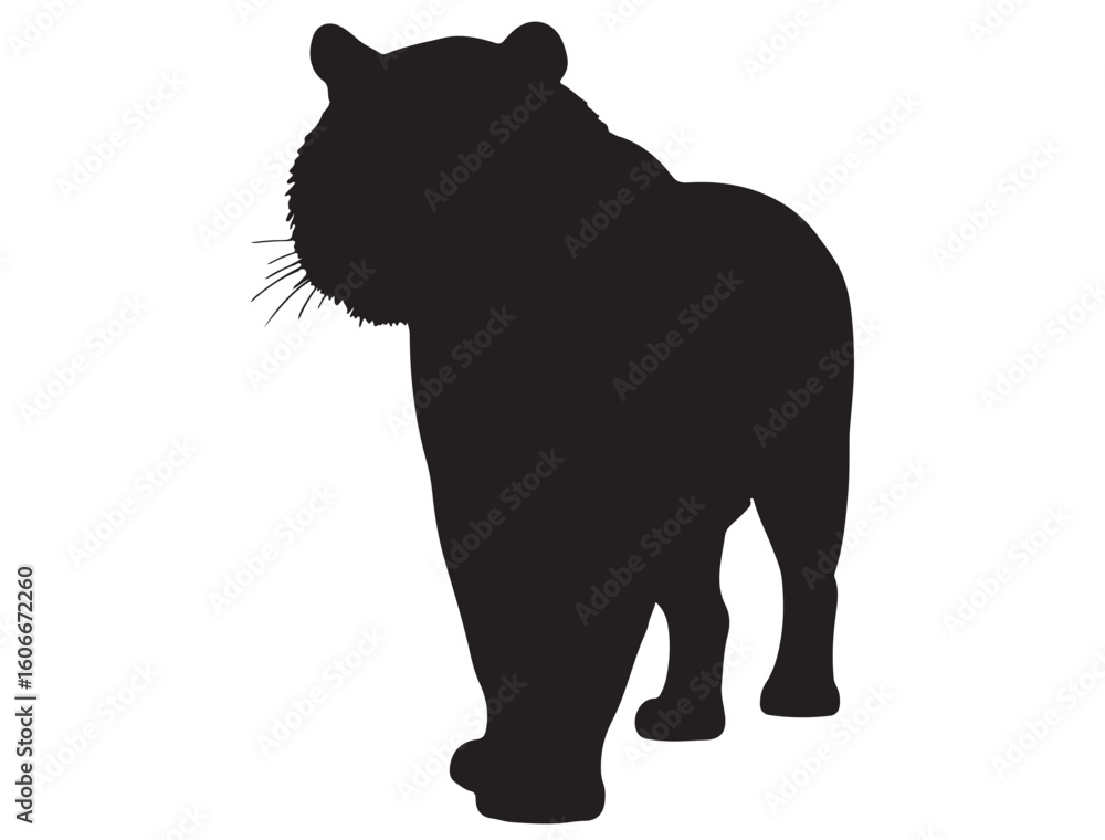 Obraz premium TIGER SILHOUETTE