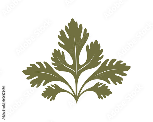 Olive Green Parsley Leaf Design, Herb Element, Culinary, Nature, Fresh Organic Healthy Food, isolated Vector Illustration.