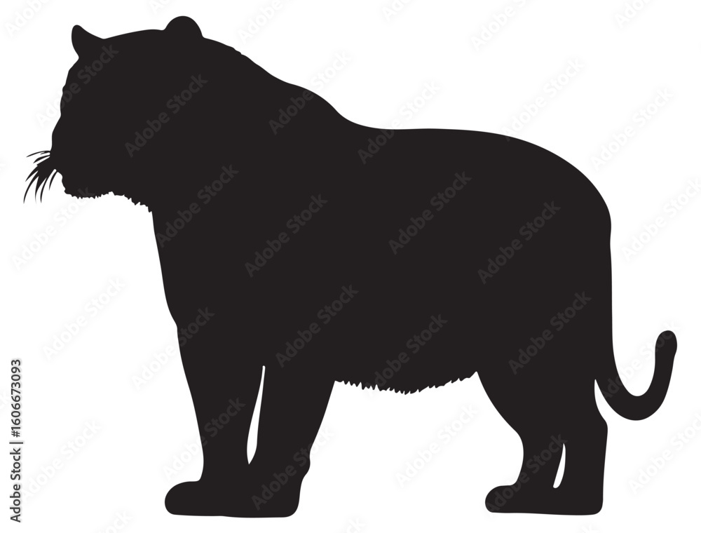 Obraz premium TIGER SILHOUETTE