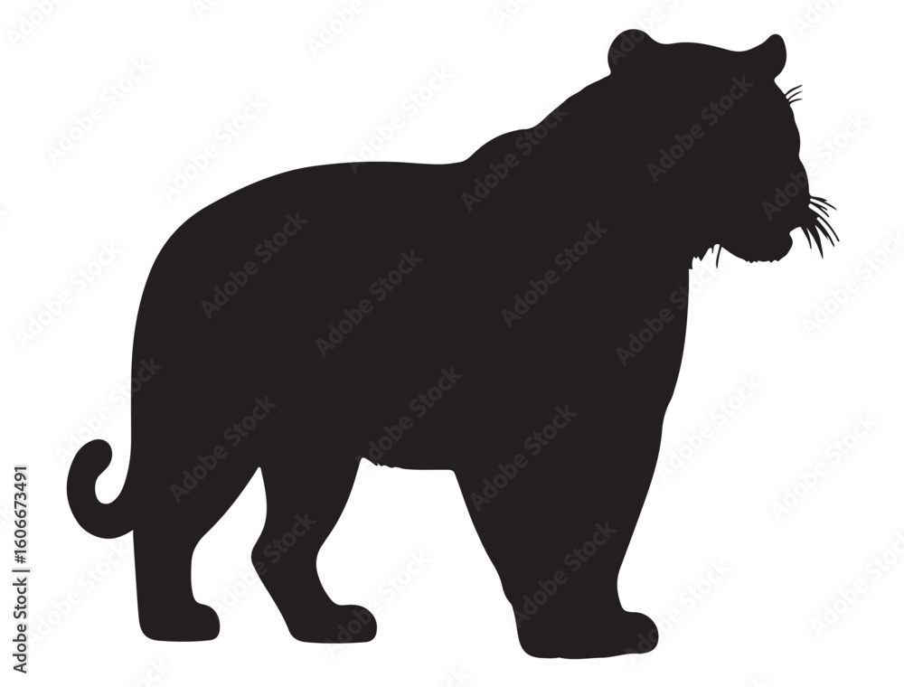 Fototapeta premium TIGER SILHOUETTE