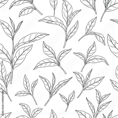 Seamless Pattern with Tea Leaves Outline, Black and White Sketch Style Vector Illustration