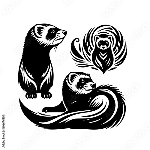 A collection of ferrets in various poses, isolated on white background