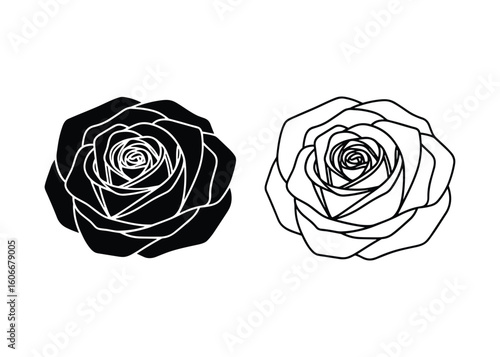Two Rose Flower Illustrations, Black and White, Line Art Style, Floral Design Element, Vector Illustration
