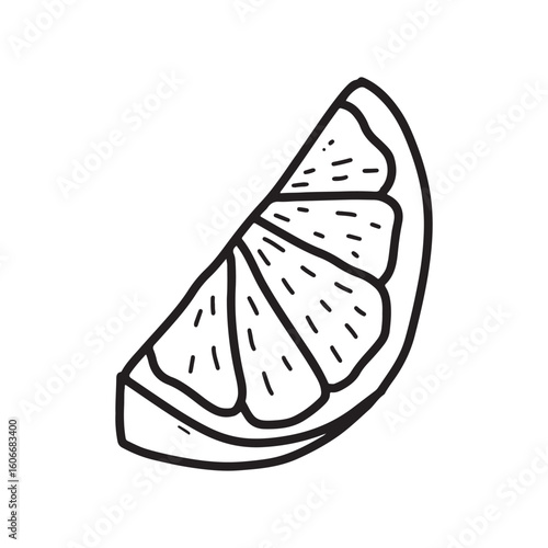 Hand drawn citrus minimalist doodle line art slice vector illustration