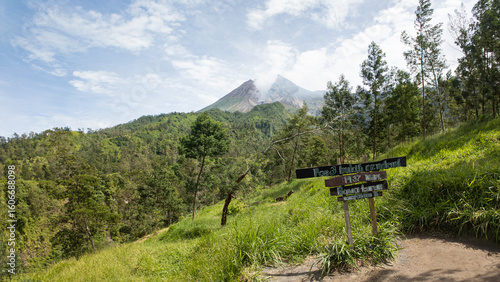 Bild auf Leinwand The view of Mount Merapi from the Kali Talang Ecotourism site in Klaten, Indonesia, features of green grass meadow, trees, and a gentle breeze blowing softly