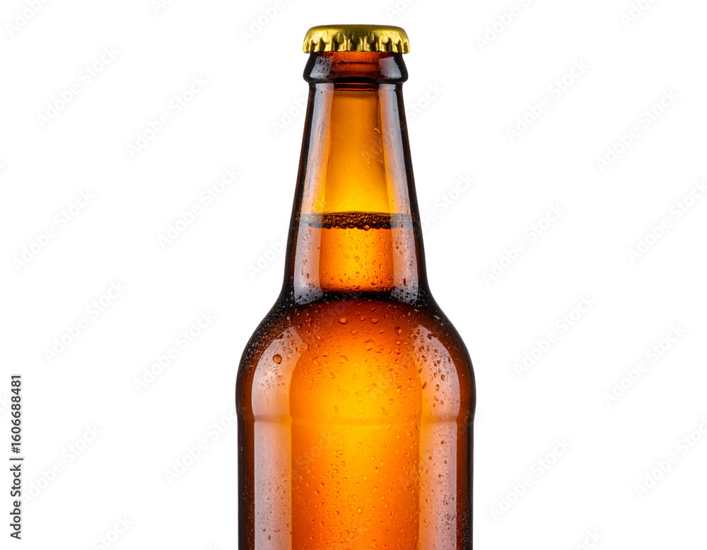 beer bottle isolated on white beer bottle isolated on white
