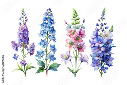 set of watercolor Delphinium Branch vector illustration isolated on white background