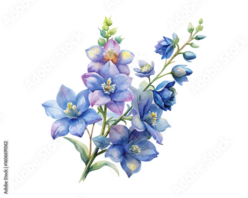 watercolor Delphinium Branch vector illustration isolated on white background