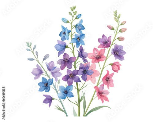 watercolor Delphinium Branch vector illustration isolated on white background