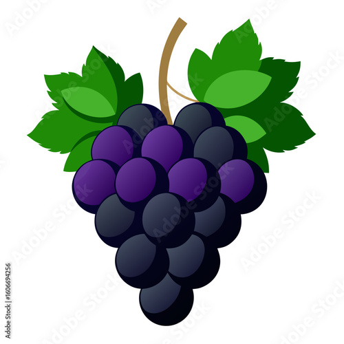 bunch of grapes isolated on white
