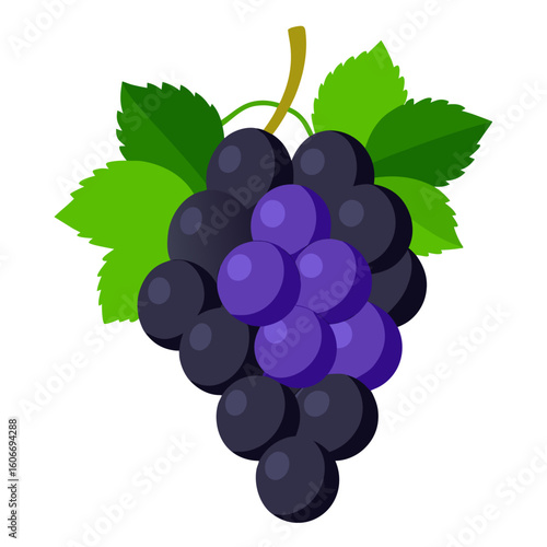 bunch of grapes with leaves
