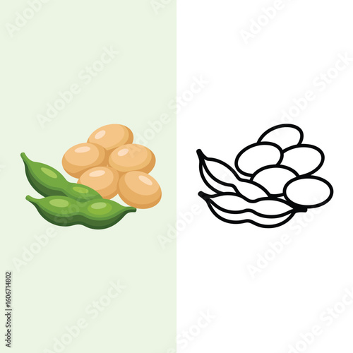 Fresh edamame pods and shelled soybeans isolated on white and green backgrounds