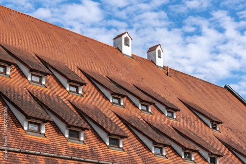 Roof With Two Chimneys And Many Dormer Windows