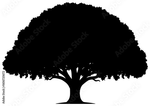 Black silhouette vector icon logo illustration of a towering teak tree in a dense forest with glistening bark roots stretching deep into the soil and freshly cut golden-brown wood planks for drying