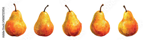Watercolor set of yellow ripe pears png. Yellow pear with dew drops on the skin. Concept of gardening, harvesting, fruit trees, etc. Vector illustration.