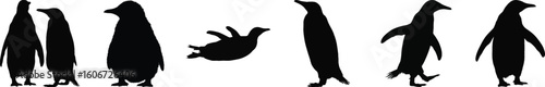 Silhouette vector illustration of six penguins in various poses, including standing, walking, and swimming, perfect for wildlife design.