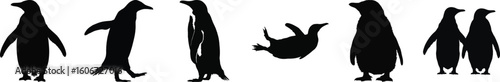 Silhouette vector set of six penguins in different positions, including standing, walking, and swimming, ideal for animal design themes.