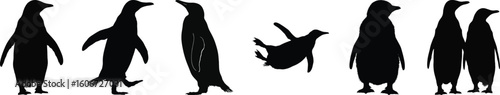 Silhouette vector set of six penguins in different poses, including standing, walking, and swimming, perfect for animal and nature design.