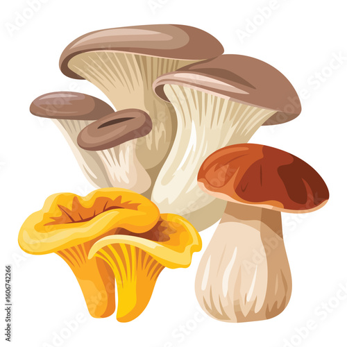 Assortment of fresh edible mushrooms featuring chanterelles and porcini