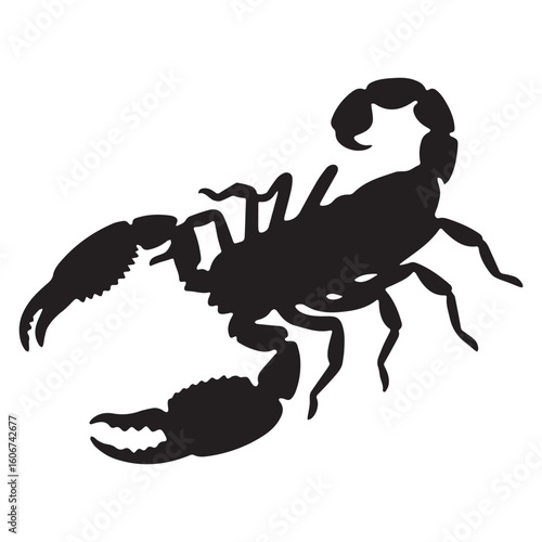 A scorpion that has the word scorpion on it Silhouette White Background.