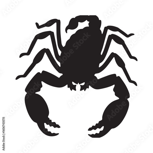 A scorpion that has the word scorpion on it Silhouette White Background.