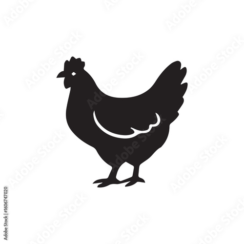 Hen vector illustration